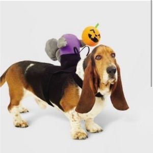 HEADLESS Horseman Squirrel Rider Dog Costume - Hyde & EEK! LARGE / XL NEW NWT